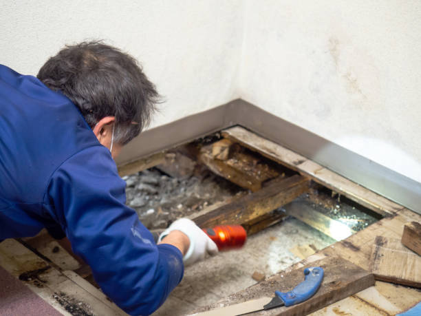 Best Mold Remediation for Specific Building Types in Wenonah, NJ