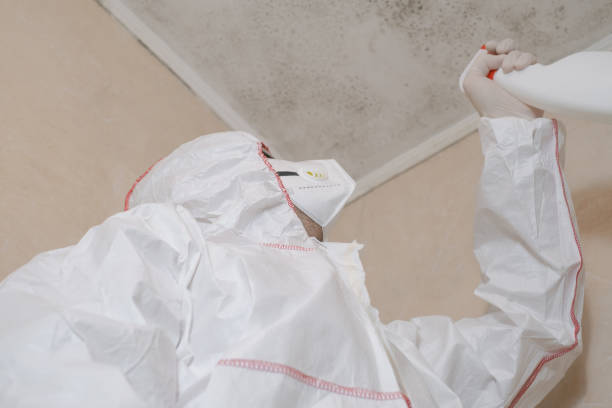Best Post-Flood Mold Remediation in Wenonah, NJ